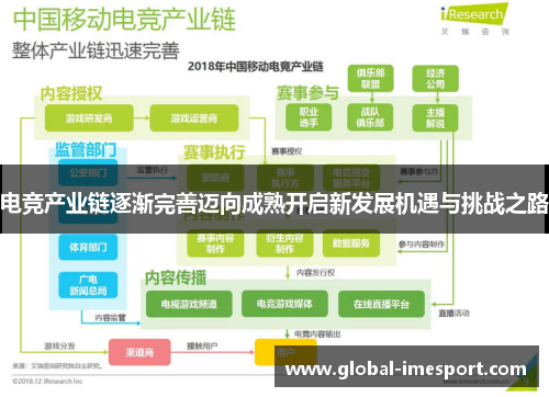 电竞产业链逐渐完善迈向成熟开启新发展机遇与挑战之路