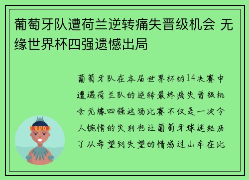 葡萄牙队遭荷兰逆转痛失晋级机会 无缘世界杯四强遗憾出局