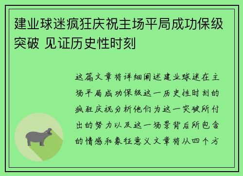 建业球迷疯狂庆祝主场平局成功保级突破 见证历史性时刻